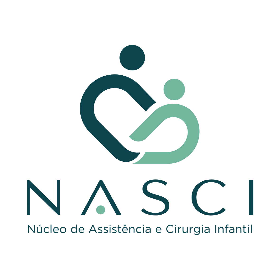 Logo NASCI